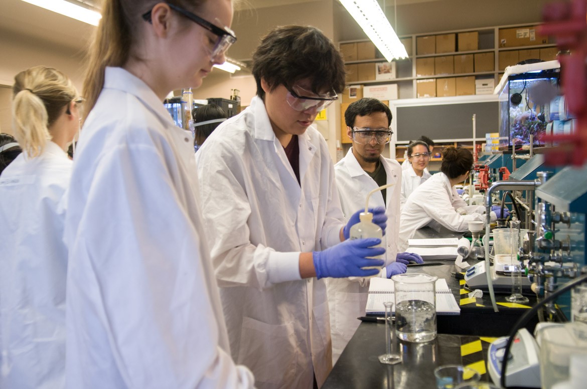 Students in the lab