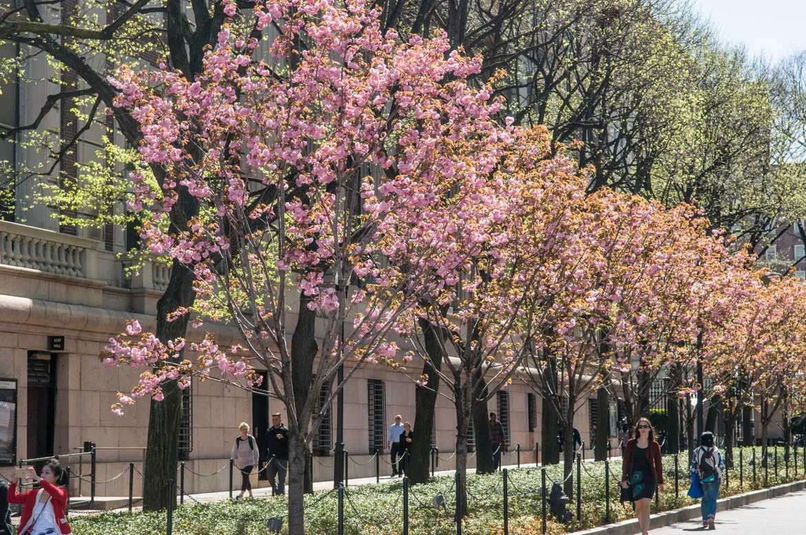 Campus 22.jpeg