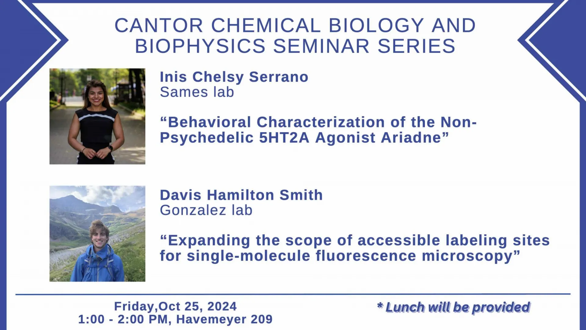 Friday Synthesis Flyer