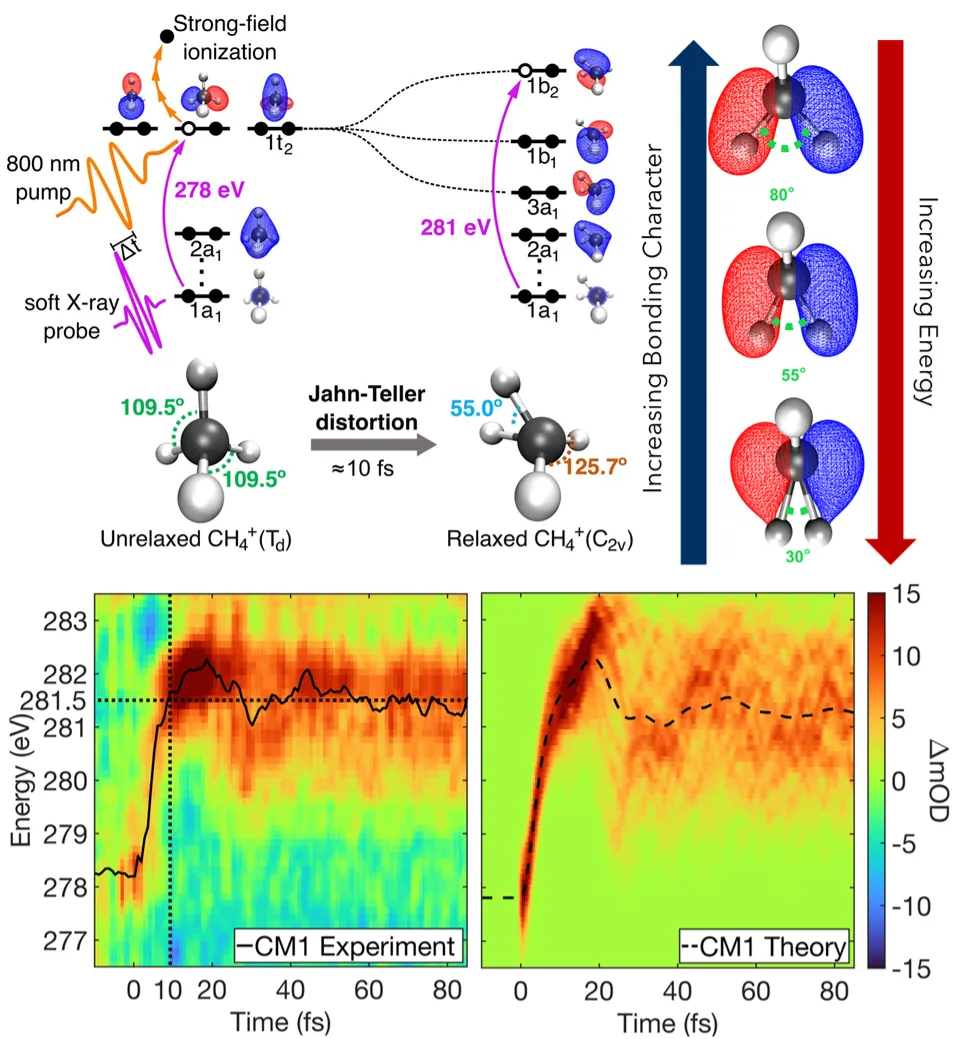 Femtosecond X-ray absorption study of the Jahn-Teller distortion 
